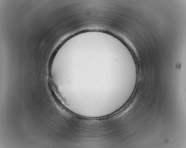 X0000097670837200803142153