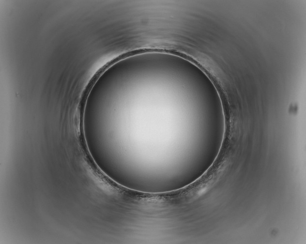 X0000097670838200803142153