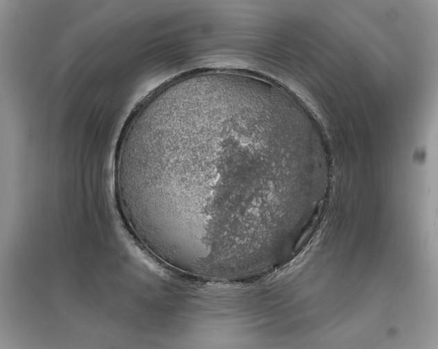 X0000097670840200803142153