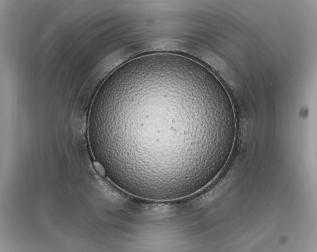 X0000097670841200803142153