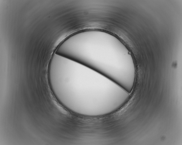 X0000097670842200803142153