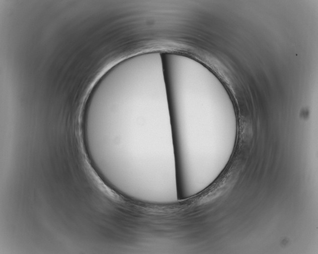 X0000097670843200803142153