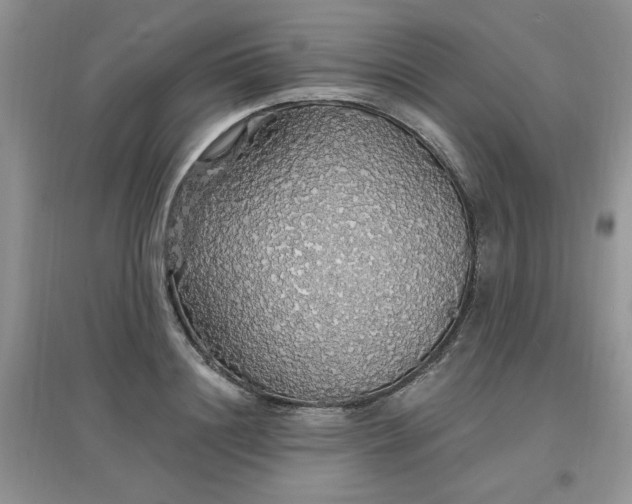 X0000097670844200803142153