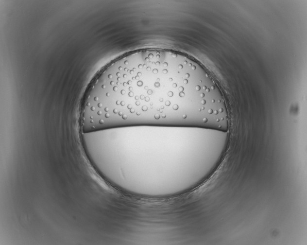 X0000097670846200803142153