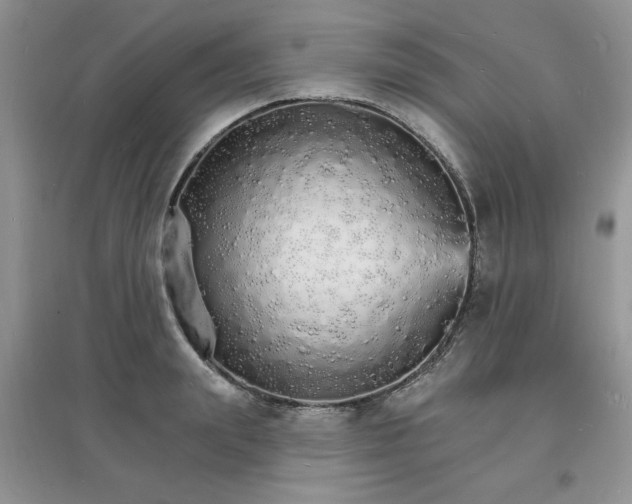 X0000097670847200803142153