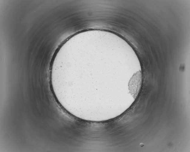 X0000097670848200803142153