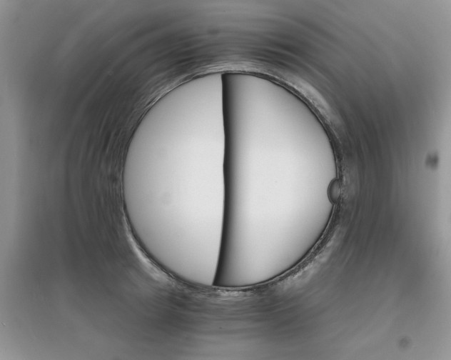 X0000097670849200803142153
