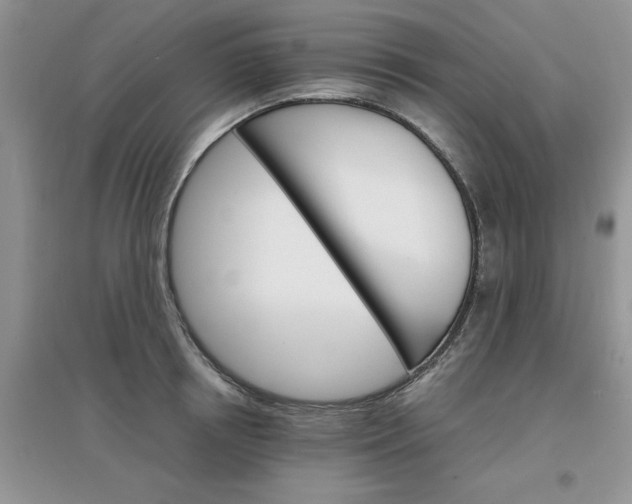 X0000097670850200803142153