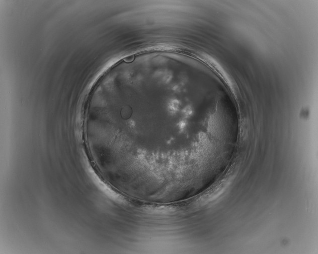 X0000097670851200803142153