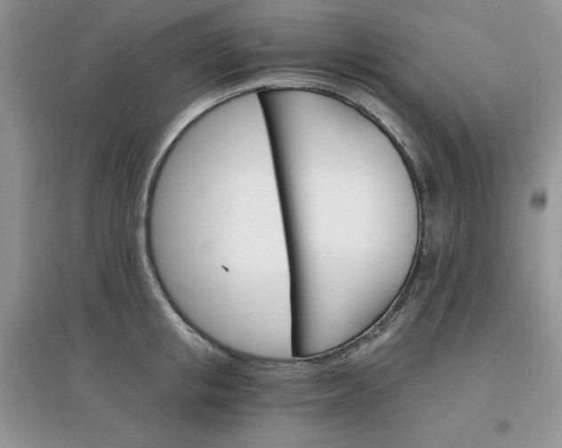 X0000097670853200803142153
