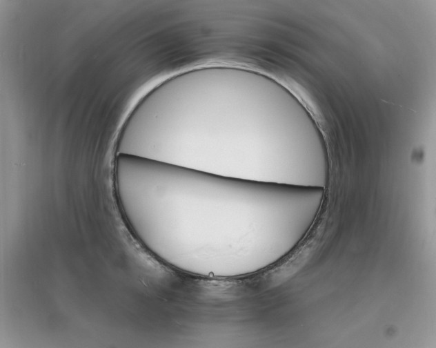 X0000097670854200803142153