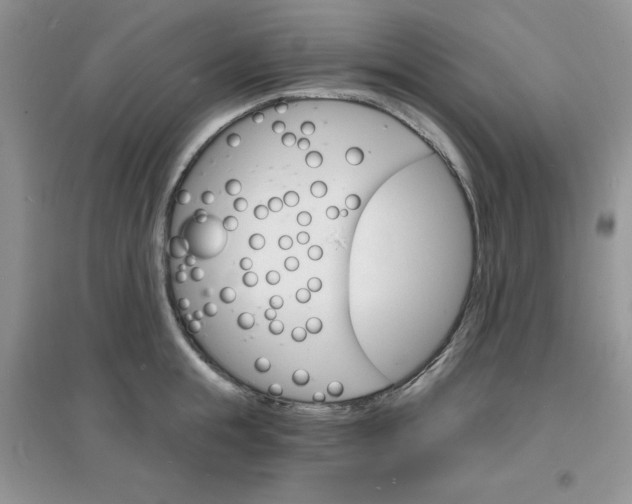 X0000097670855200803142153