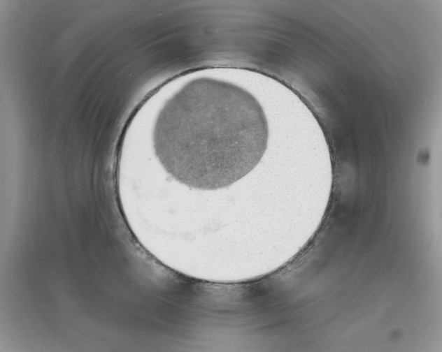 X0000097670856200803142153
