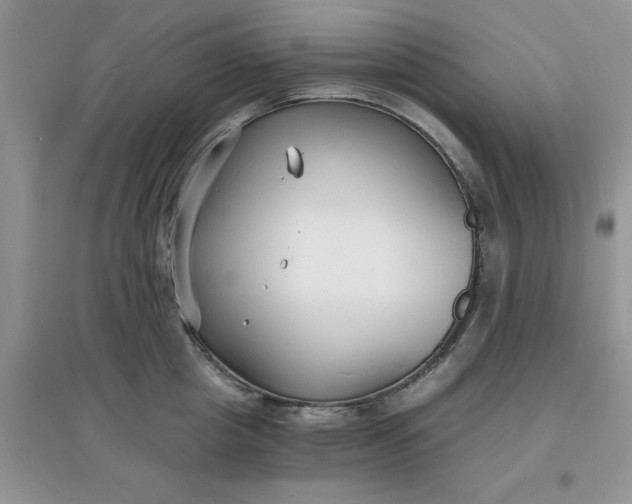 X0000097670857200803142153