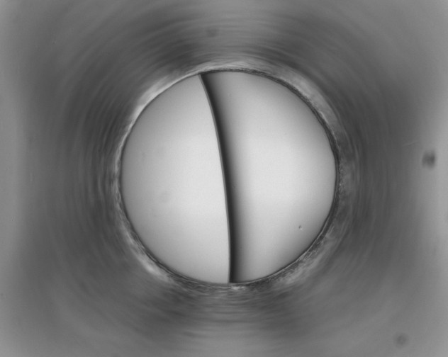 X0000097670858200803142153