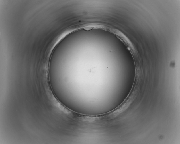 X0000097670860200803142153
