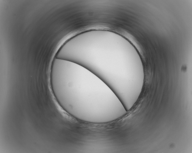 X0000097670861200803142153
