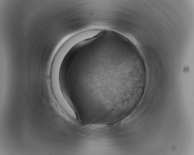 X0000097670864200803142153
