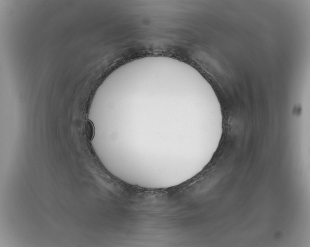 X0000097670865200803142152