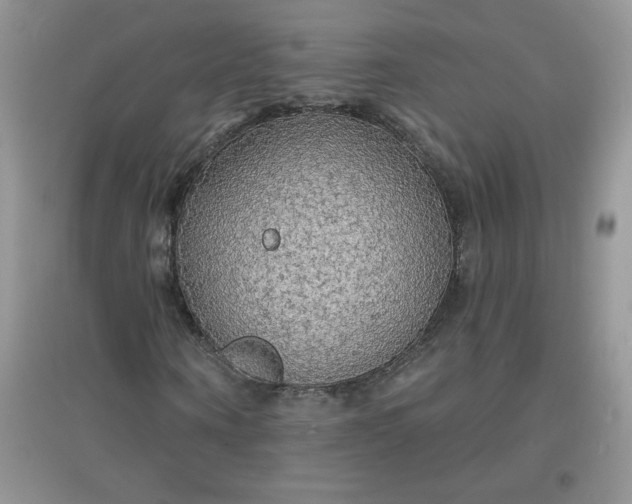 X0000097670866200803142152