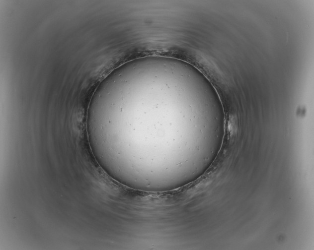 X0000097670867200803142152
