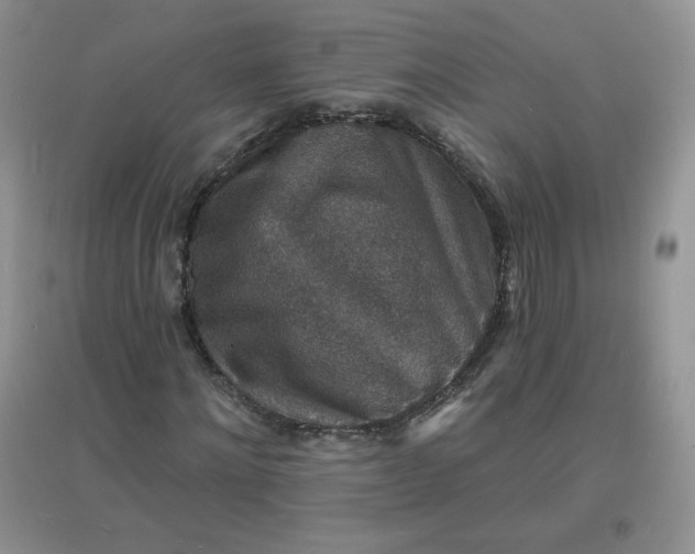 X0000097670868200803142152