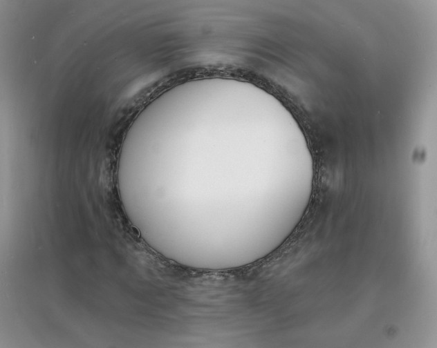 X0000097670869200803142152