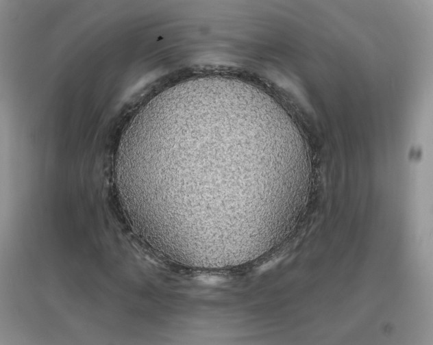 X0000097670870200803142152
