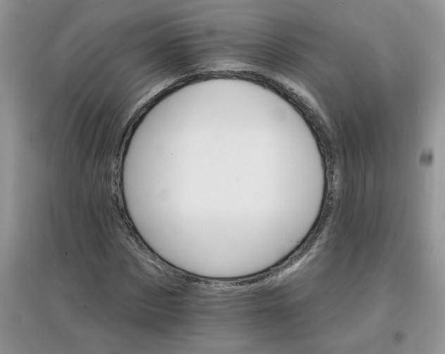 X0000097670873200803142152