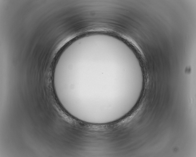 X0000097670874200803142152