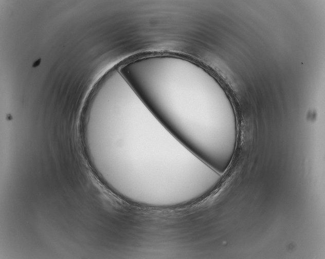 X0000097670876200803142152