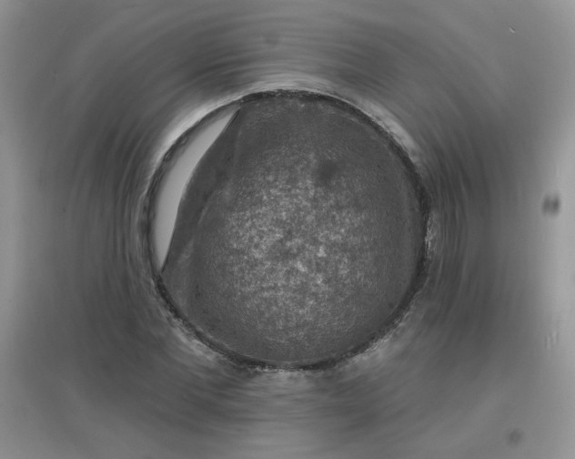X0000097670877200803142152