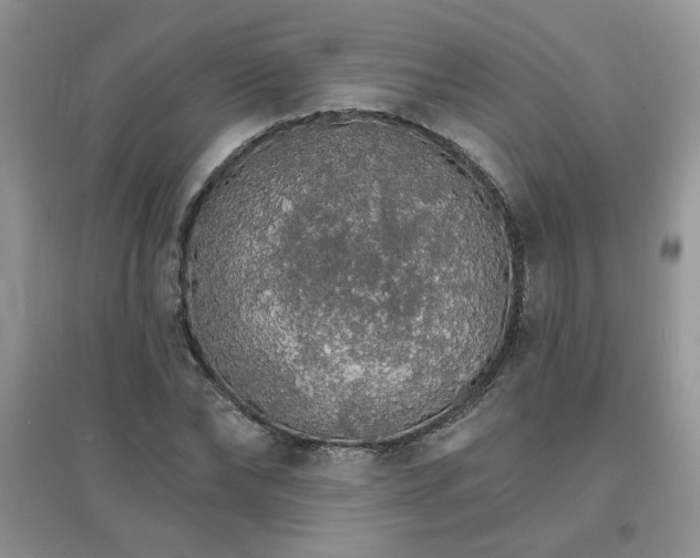 X0000097670878200803142152