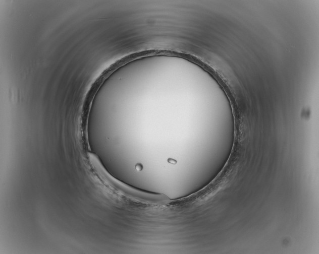 X0000097670880200803142152