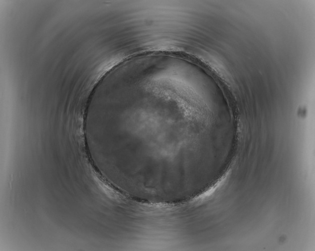 X0000097670881200803142152