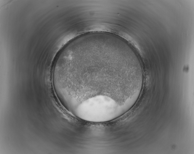 X0000097670882200803142152