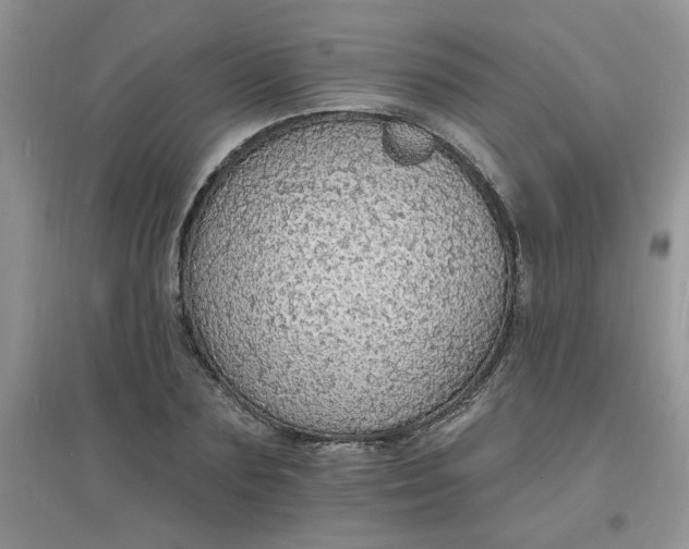 X0000097670883200803142152