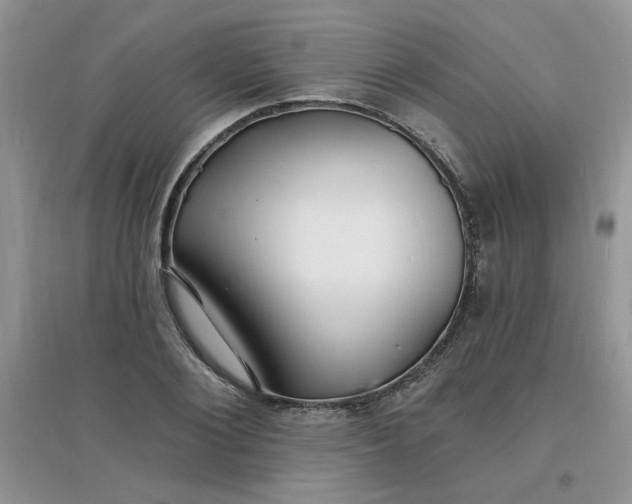 X0000097670884200803142152