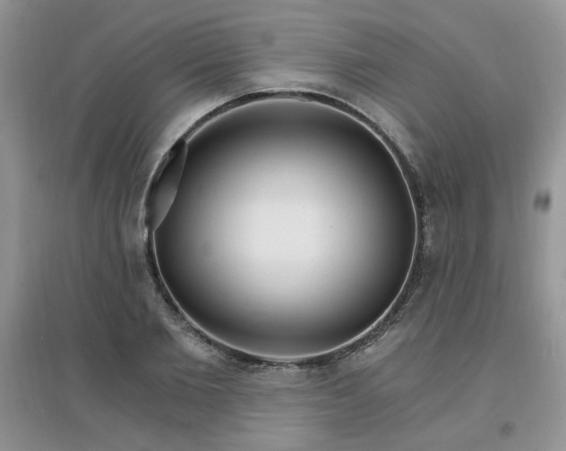 X0000097670885200803142152