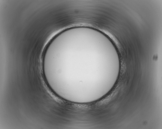 X0000097670886200803142152