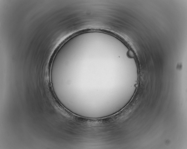 X0000097670887200803142152