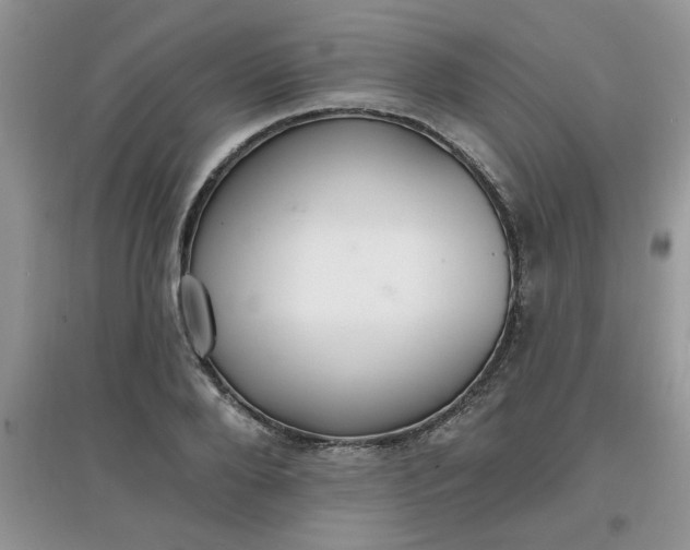 X0000097670888200803142152