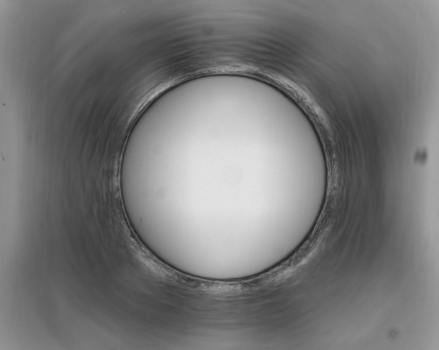 X0000097670889200803142152