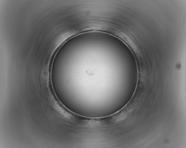 X0000097670890200803142152