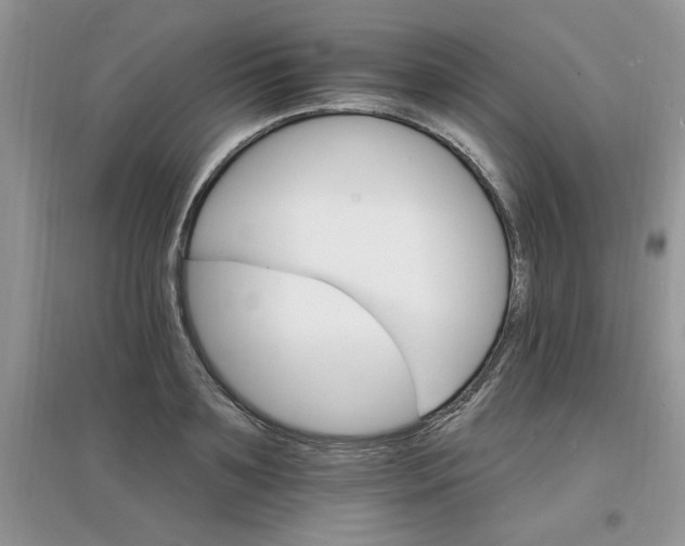 X0000097670891200803142152