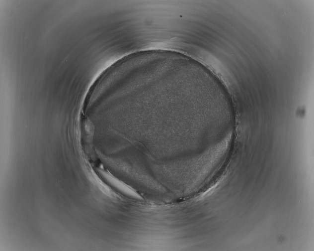X0000097670892200803142152