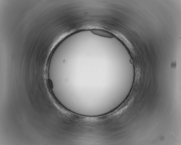 X0000097670893200803142152