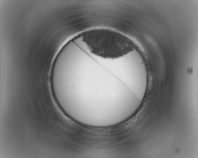 X0000097670895200803142152