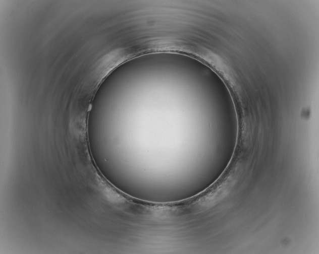 X0000097670897200803142152