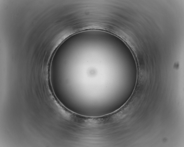 X0000097670898200803142152